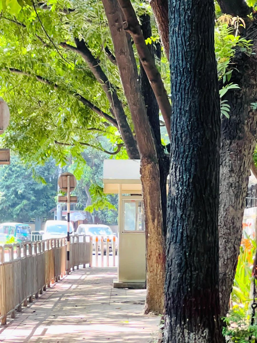 mmayan78's tweet photo. Wake up with gratitude, chase your dreams with courage, and let your smile brighten the day. 🌼

Good Morning! ☀️✨
#goodmorning https://t.co/HjmhcQC1gL
