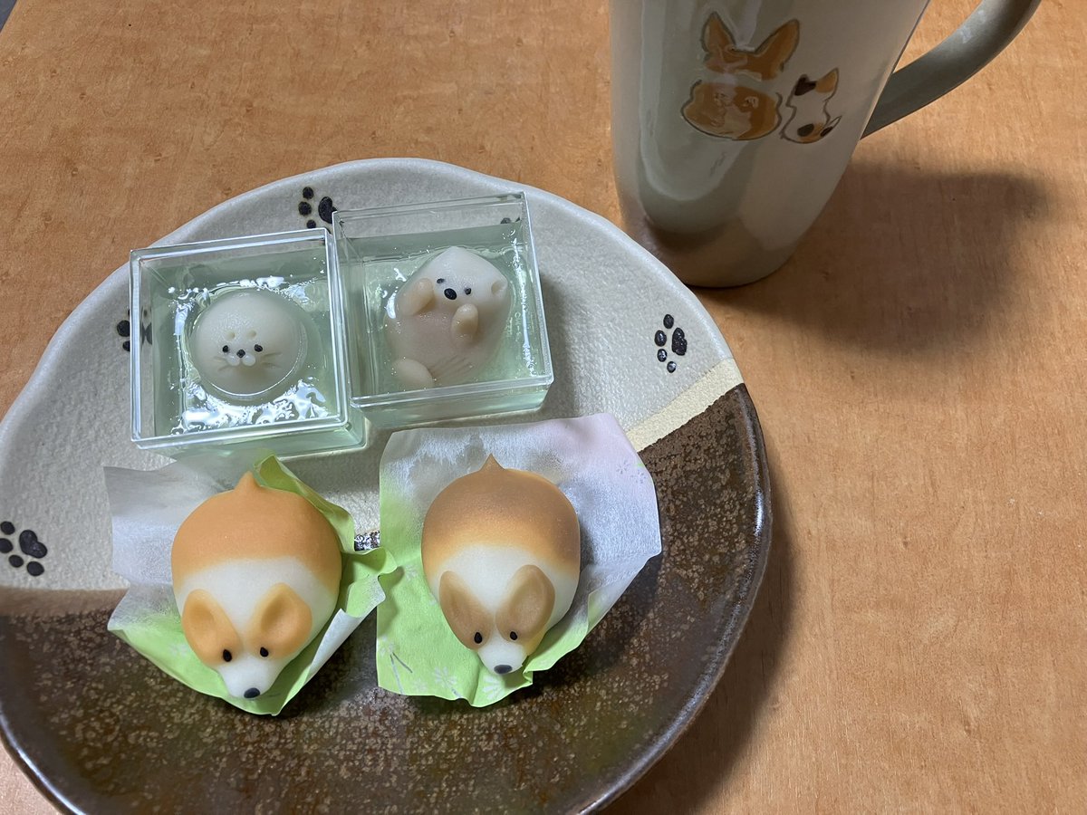 onoden4476's tweet photo. 先日購入した紅谷三宅さん（@beniyamiyake ）のコーギー練り切り&amp;アザラシとラッコ練り切りと益子焼よこやまさんのコーギー皿&amp;コップ

めっちゃかわいい

#コーギー https://t.co/gI4Rh0WcDj
