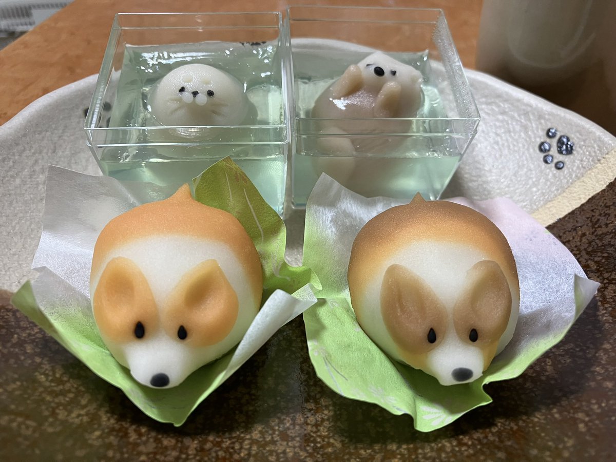 onoden4476's tweet photo. 先日購入した紅谷三宅さん（@beniyamiyake ）のコーギー練り切り&amp;アザラシとラッコ練り切りと益子焼よこやまさんのコーギー皿&amp;コップ

めっちゃかわいい

#コーギー https://t.co/gI4Rh0WcDj