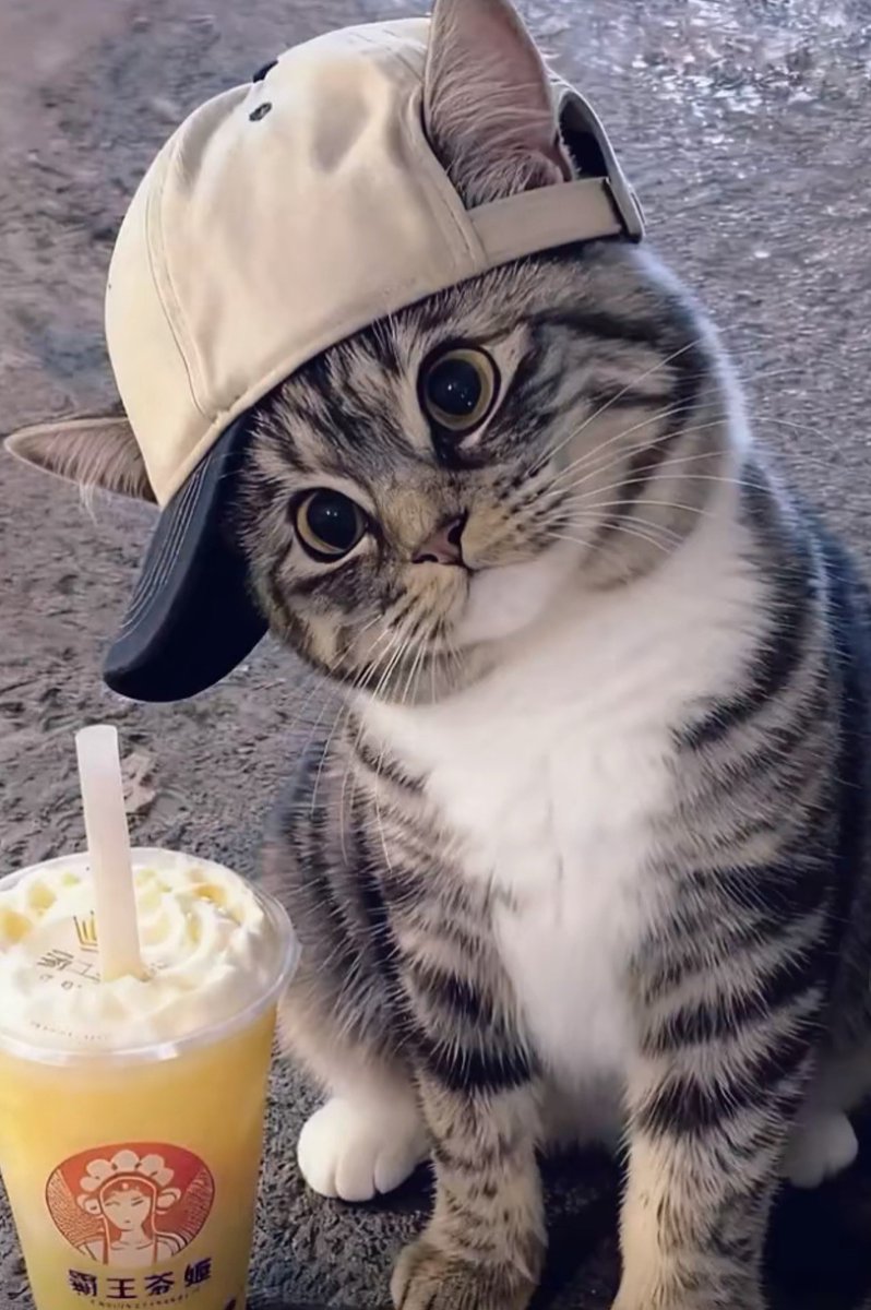 ʙᴏᴛᴏʟ_ᴋᴇᴄᴀᴘ🍾 tweet media