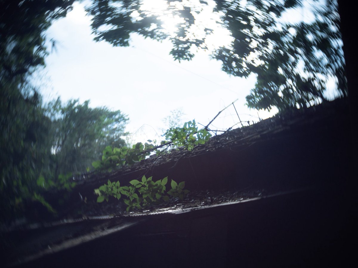 photo_kenji's tweet photo. #snap
#snapshot
#スナップ
#toylens
#トイレンズ
#slrmagic https://t.co/sXrdIznmkH