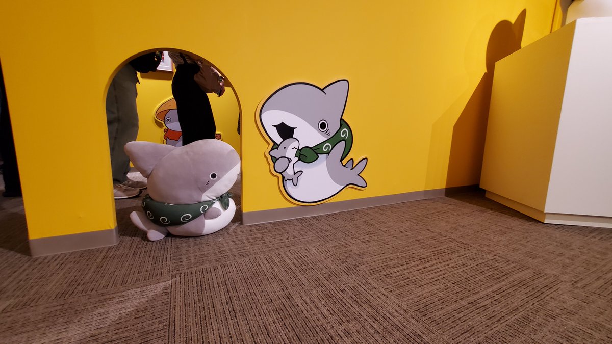 rotfaybg's tweet photo. @Penguinbox1 うちのサメもさめ専用入り口からご入場
#おでかけ子ザメ展
#子ザメとまいにち https://t.co/mGq7CTWXni