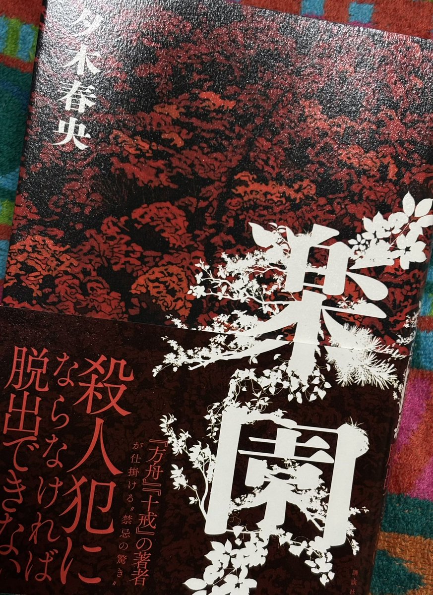 minoru_43's tweet photo. 夕木春央「楽園」を読了📖こちらもあっという間に読み終えて、次は何を読もうか思案中　#楽園   #夕木春央 https://t.co/7R0tOPG5xc