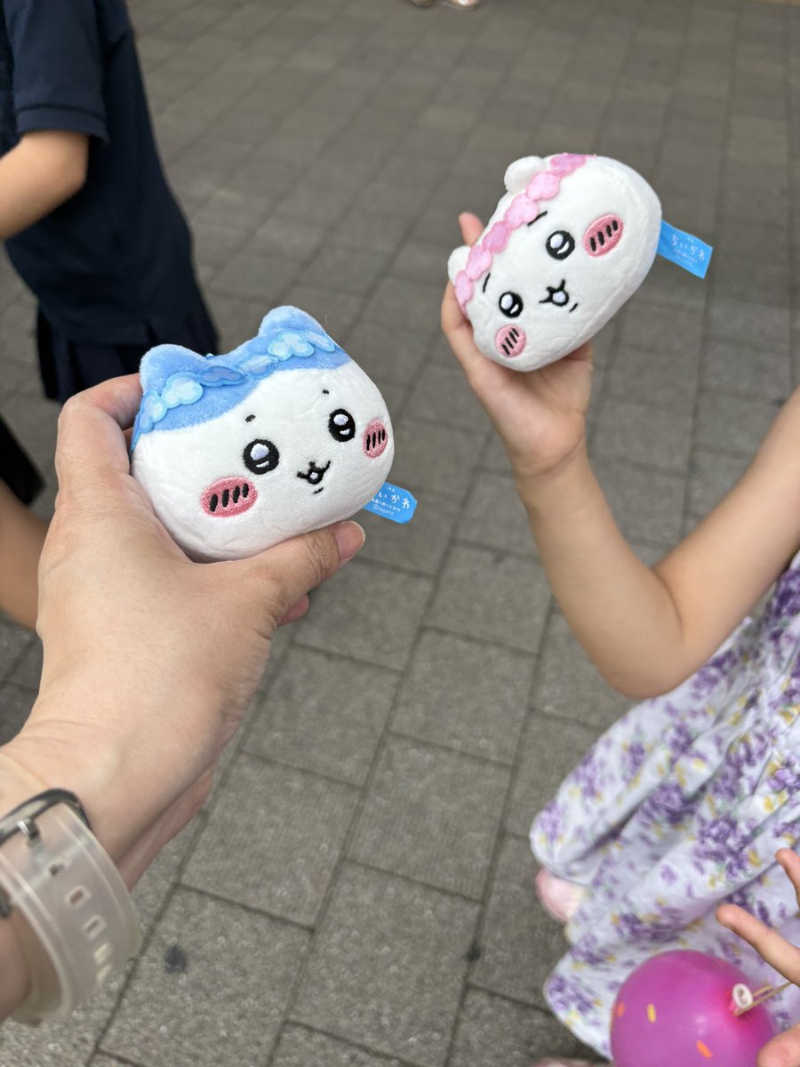 NSayaka38's tweet photo. しまじろうは出なかった…🙂‍↕️ https://t.co/ouNQaBLg8x