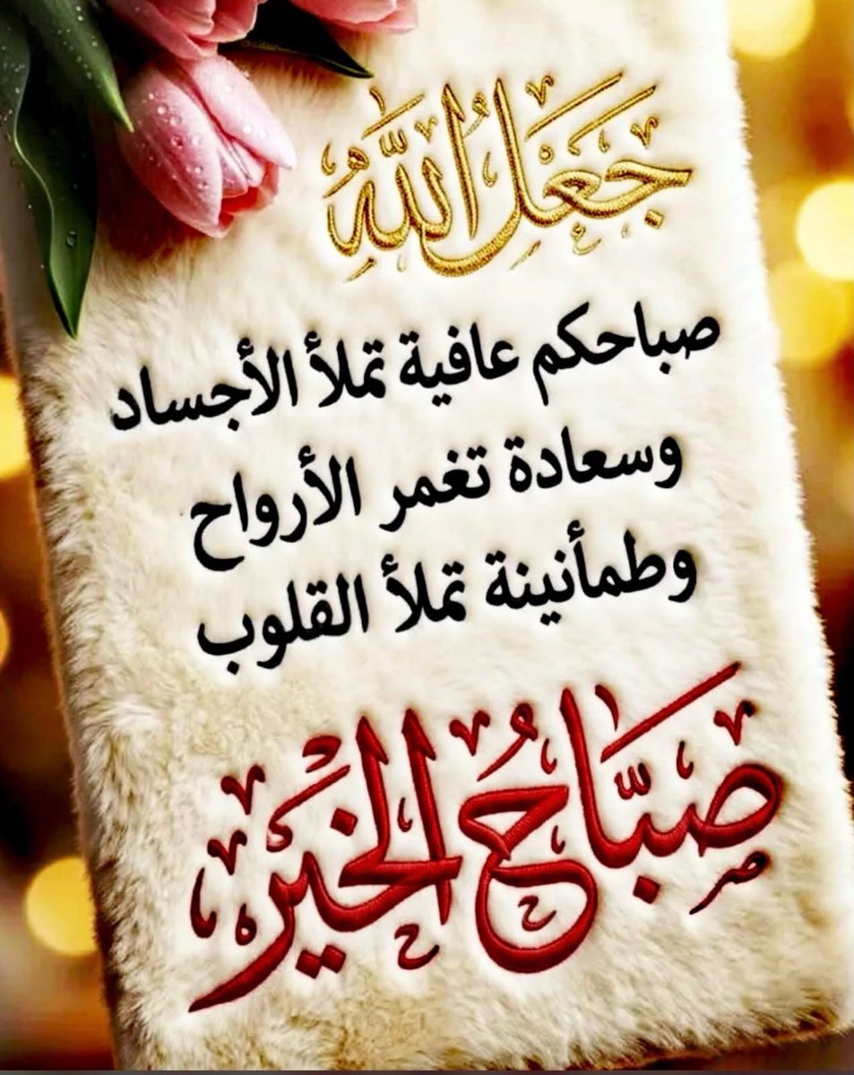 haassn23's tweet photo. https://t.co/EUHIVsv5gt