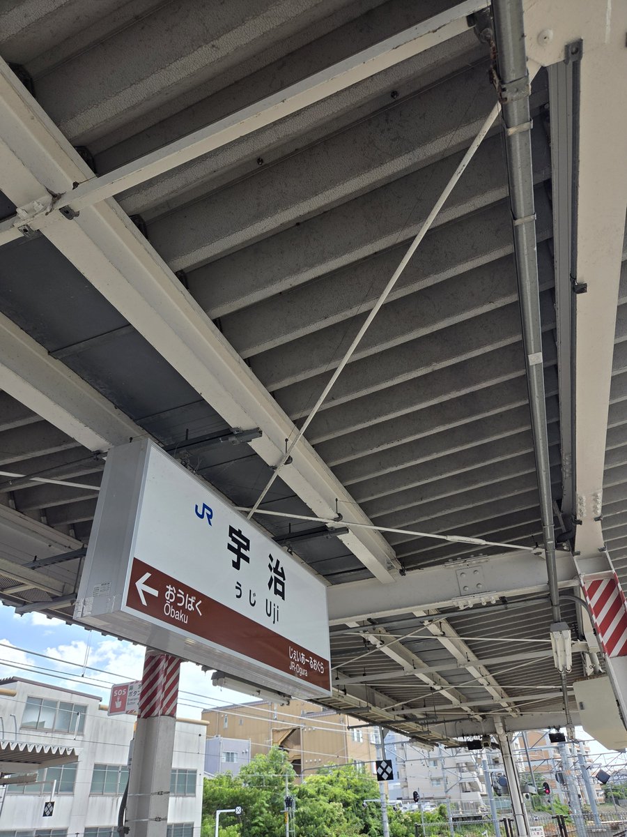 ショウト tweet media