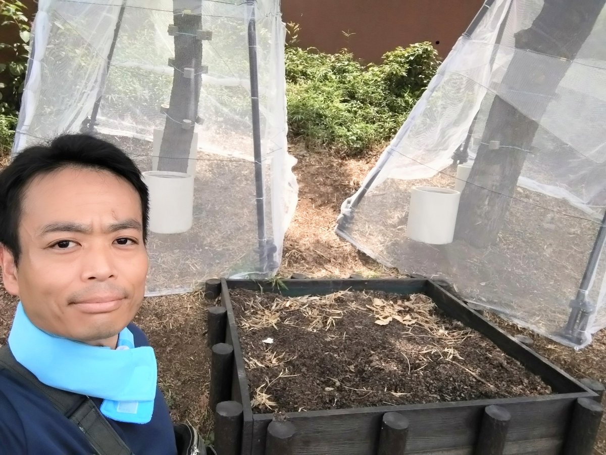 kidaoribe's tweet photo. 明日7/27(月)9:00頃、昆虫公園でカブトムシが放されます😃
明日放すカブトムシは、区民の方からご寄贈いただいたもので、近隣の保育園園児に放してもらいます。
昆虫公園をその名にふさわしい空間に改善するため、区の北部土木サービスセンター職員の皆様には多大なるご尽力をいただき、誠にありがとうございます🙇