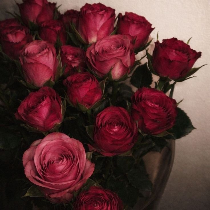 ellymindsh's tweet photo. how pinterest sees me !! 

  ꪆ୧   lyrics 
  ꪆ୧   character 
  ꪆ୧   artist/singer 
  ꪆ୧   flower https://t.co/Xxdy10KR96