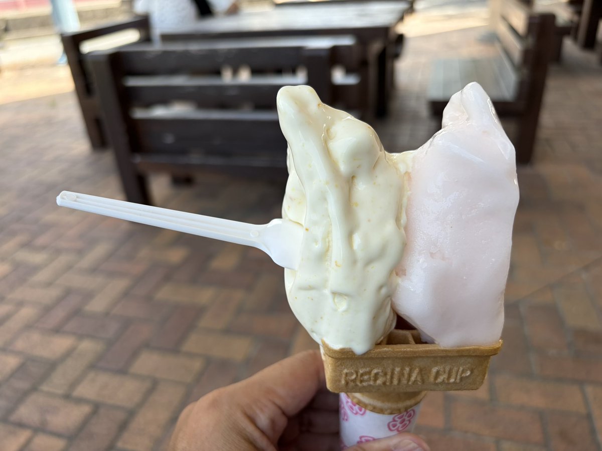 awalking_cat's tweet photo. 今日も暑い...🍦 https://t.co/lI1axlYslM