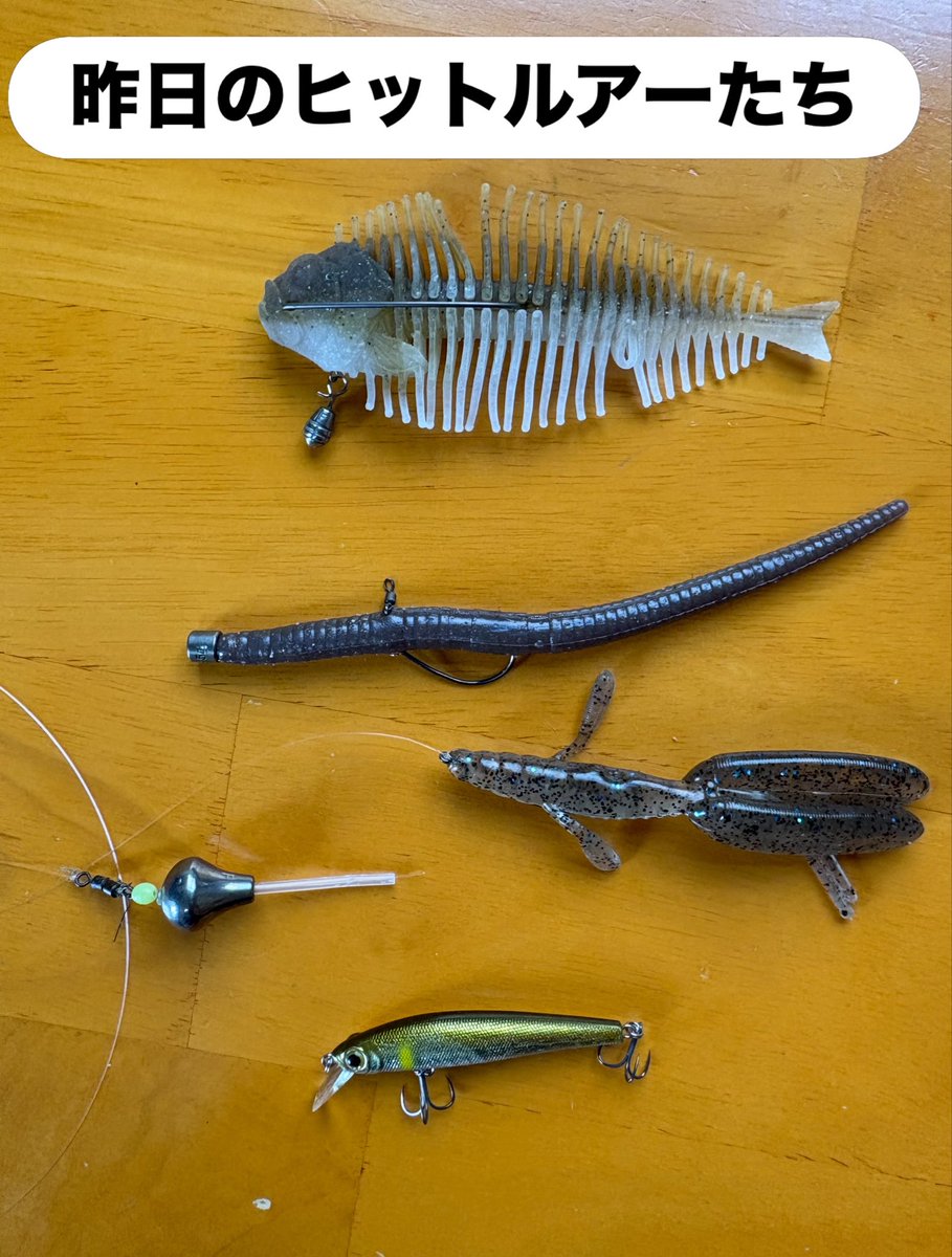 y_aichang's tweet photo. 久々に朝イチから高滝湖へ。
本湖を色々と周って48cm、47cmを含む15本で暑かったけど楽しかった！
フリーリグ、カバーネコ、ヘビキャロ、ジャークベイト。
これってカッコいい？楽しい釣り？
ライブスコープ使ってるからダサいか！？

#高滝湖 #ライブスコープ https://t.co/Xik7TNhdyc