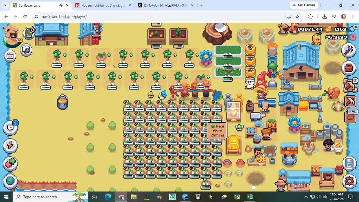 MoneyCatnip's tweet photo. #sunflowerlandfarm https://t.co/qTgrfy4pDa