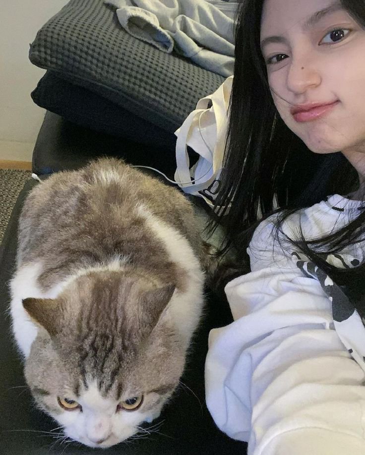 ZIYOUNGchic's tweet photo. @LEEKNOWedgy Hi Lino! Waah aku juga suka anabuul, coba pilih salah satu foto ini dibawah yang mencerminkan mood kamu weekend ini 😻 https://t.co/6ObKnZLUQ0