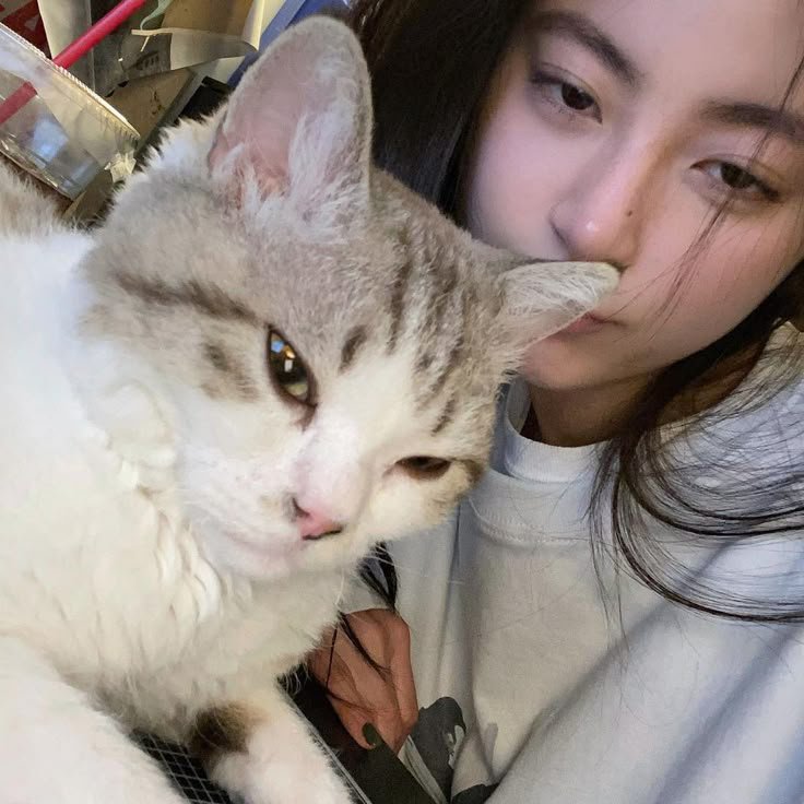 ZIYOUNGchic's tweet photo. @LEEKNOWedgy Hi Lino! Waah aku juga suka anabuul, coba pilih salah satu foto ini dibawah yang mencerminkan mood kamu weekend ini 😻 https://t.co/6ObKnZLUQ0