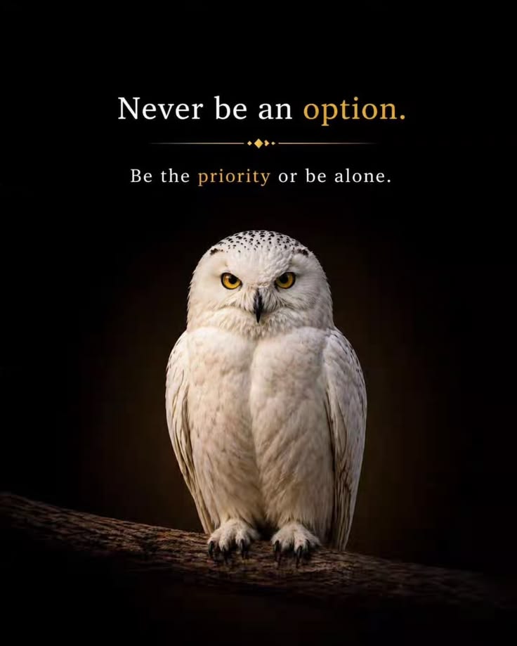 GoldWisdomh's tweet photo. Never settle for being someone’s option know your worth and choose those who choose you. https://t.co/0muDF4ct87