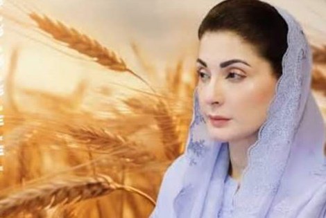 kissan_pakistan's tweet photo. دس لاکھ ٹن گندم جو درآمد کرنے کا فیصلہ ہوا ہے  اسکی قیمت تقریباً 70 ارب روپے بنتی ہے اگر یہی گندم پاکستانی کسانوں سے خریدی جاتی تو کاشتکاروں کا بھلا ہونا تھا اب یہی رقم باہر کے کسان کمائیں گے۔حکومتی گندم پالیسی مکمل فلاپ رہی https://t.co/fFYSshSz6P