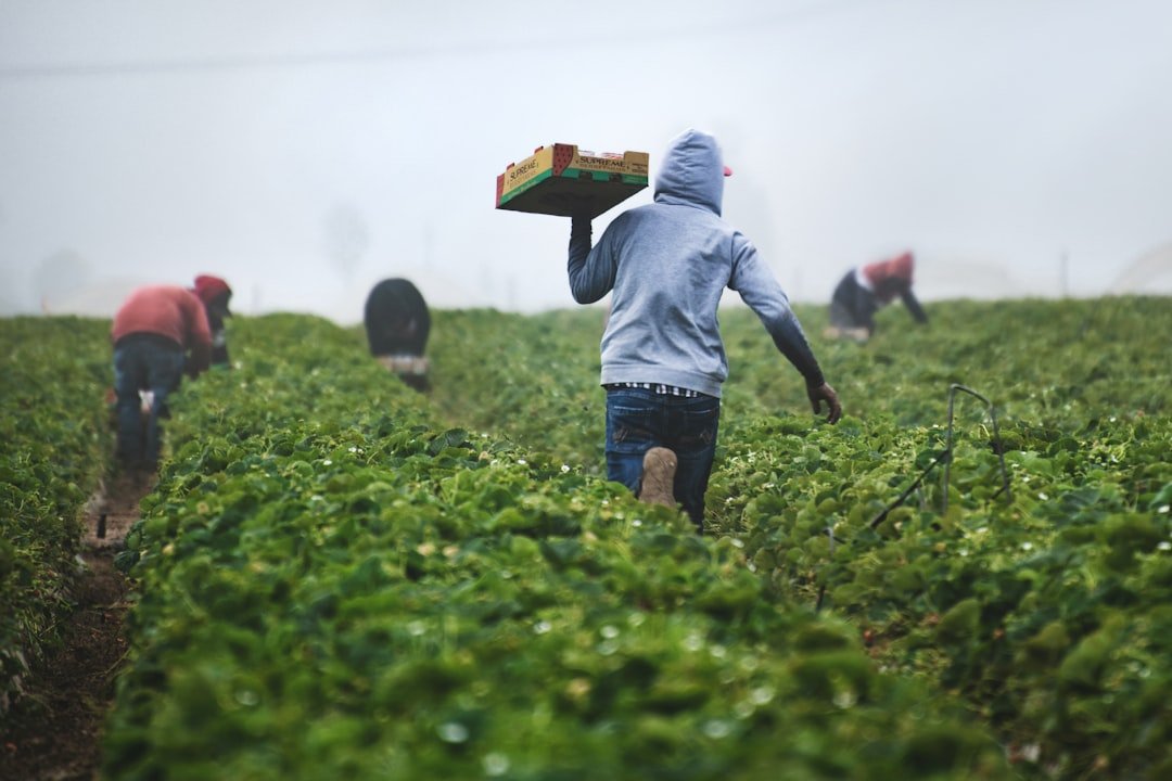 GARealNewsLinks's tweet photo. Democrats Still Support Slavery
GO TO: https://t.co/K2U7aEqUav
#Democrats #Slavery #Immigration #TrustTrump #WeStandWithTrump https://t.co/wSqpfZk2tZ