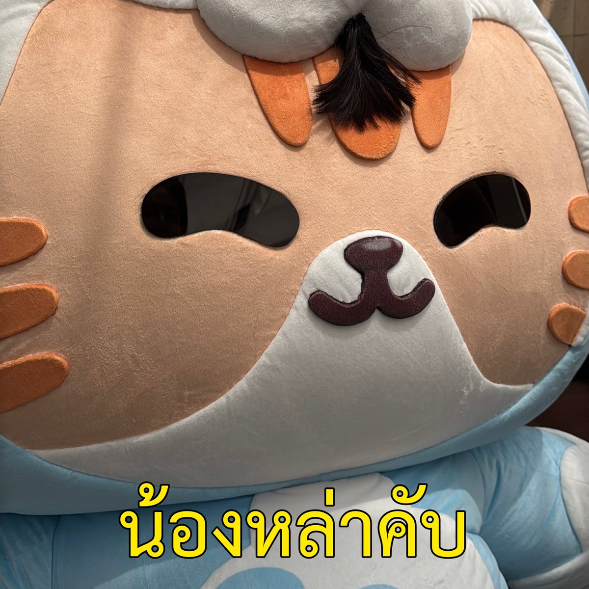 NongZon_Domundi's tweet photo. @DomundiTV @Jamessu_w น้องหล่าเป็นตาฮักแท้คับ อ้ายซนเด้อคับ ออนซอนเด้ 🌼🤍

 #JessyJS #JamesSu https://t.co/6RxZnaEVF7