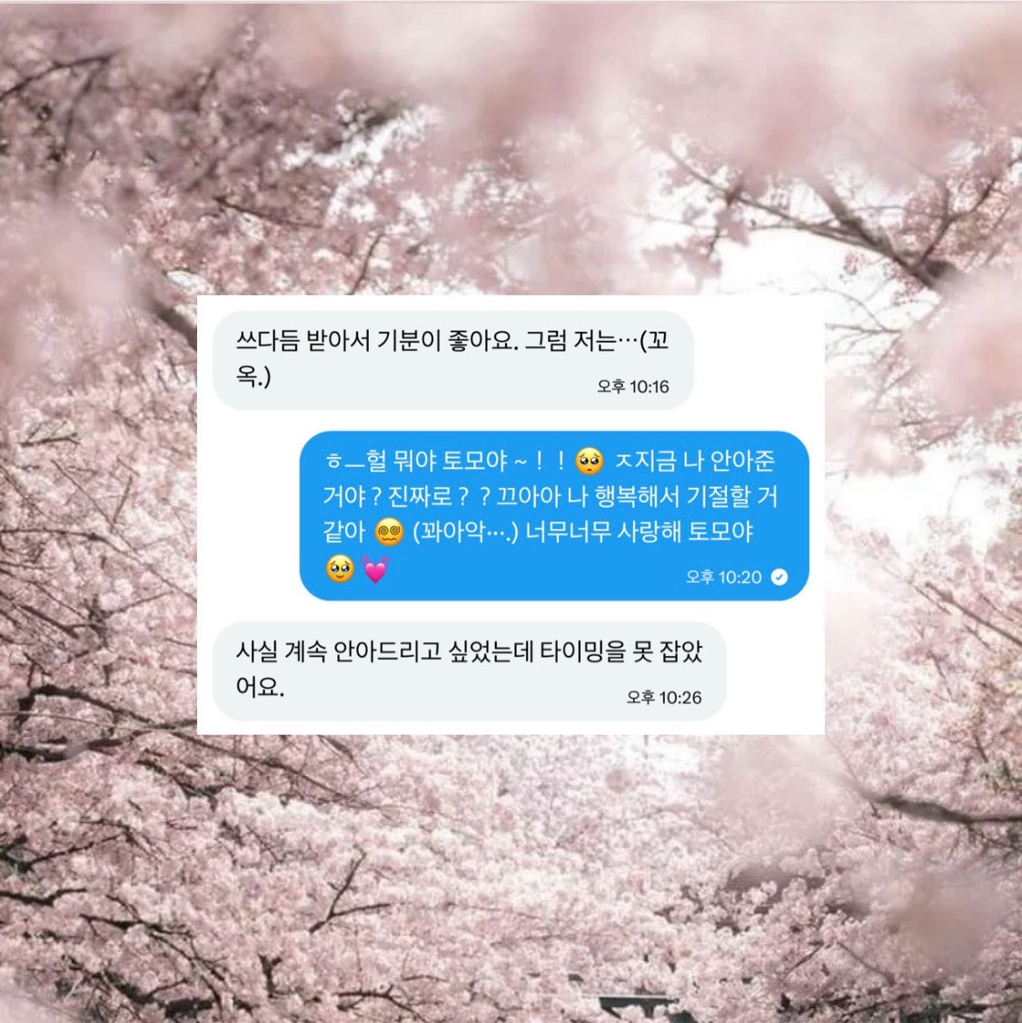 Iz42fm's tweet photo. 토모야 군에게 쓰다듬어줬더니 안아줬어 .. >^< ෆ 누군가에게 안기는 거는 오랜만이라 너무너무 설렜어！앞으로도 자주 안아줄 거지 토모야 ~？ https://t.co/9JgTQxnmsa