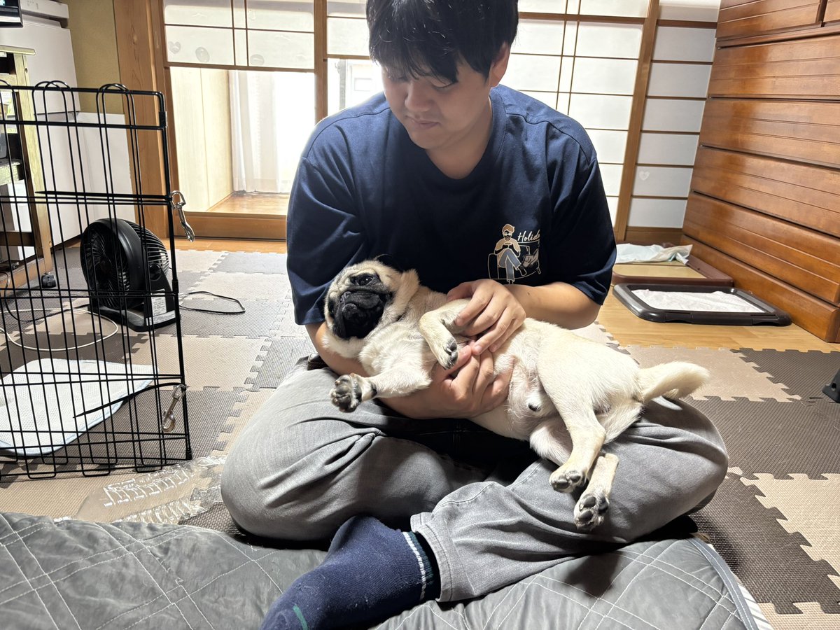 Mr__moss's tweet photo. 彼氏の膝でメロついてる豆 https://t.co/xubNc1jKv9