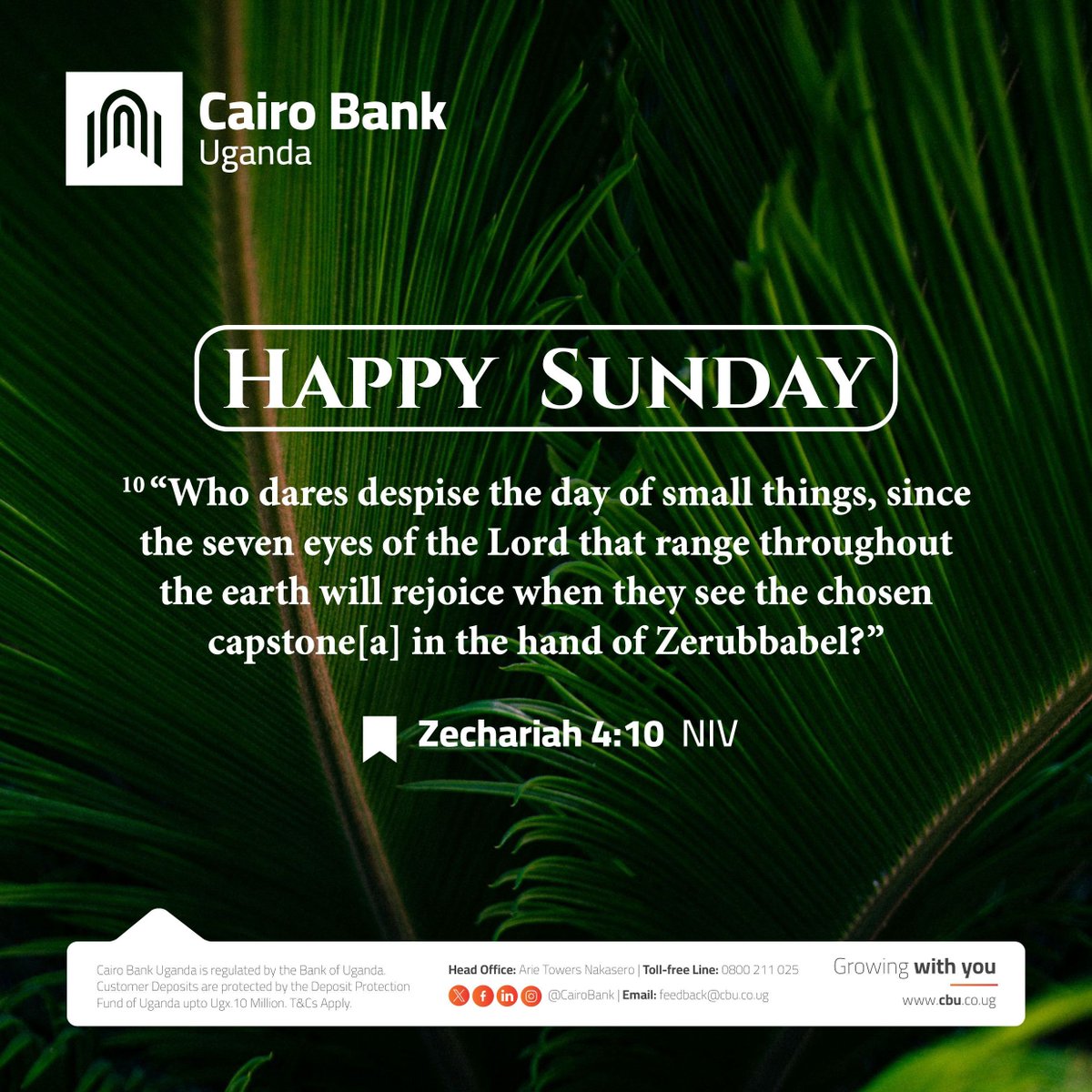 Cairo Bank Uganda tweet media