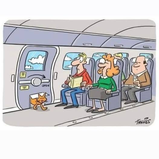 AlainHanel's tweet photo. JUSTE POUR VOIR... https://t.co/5RZvgJvEHv