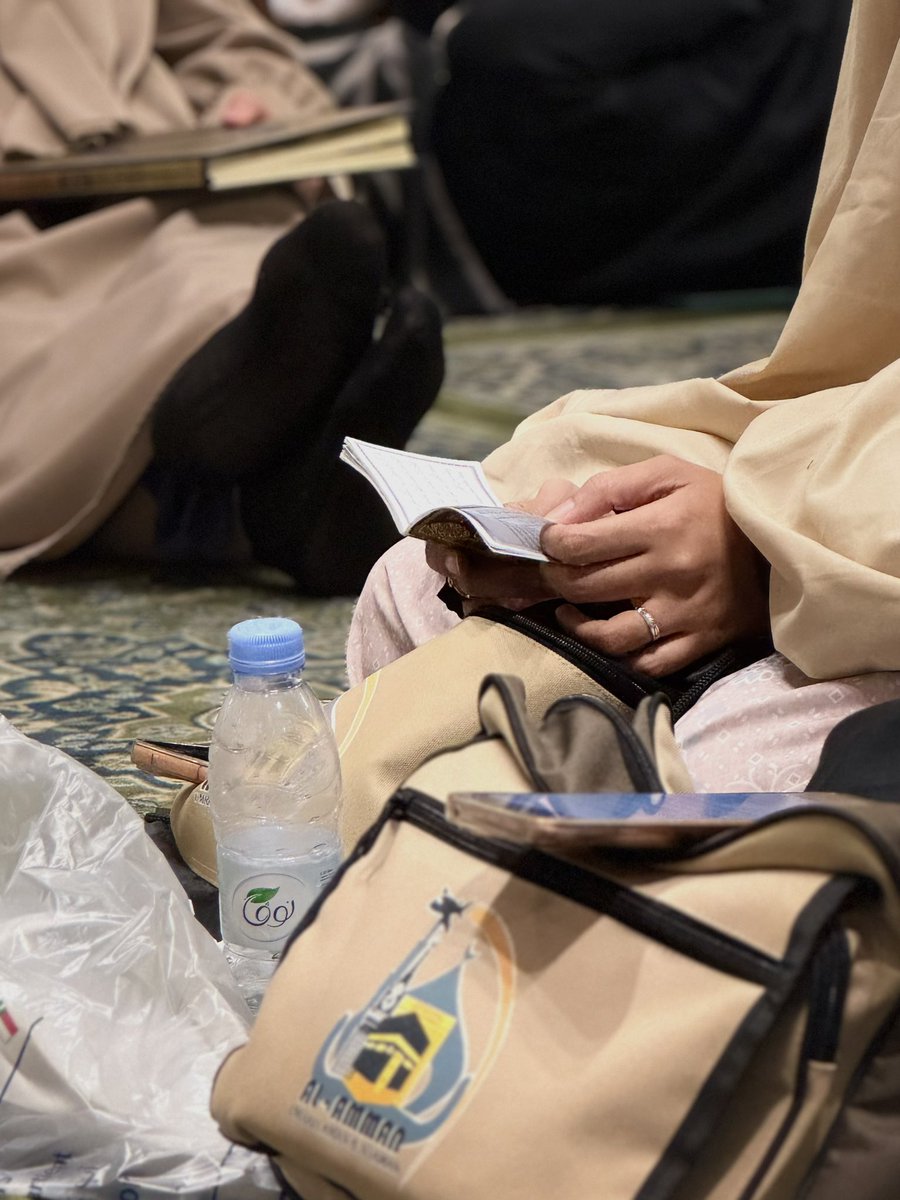 عاىسه tweet media