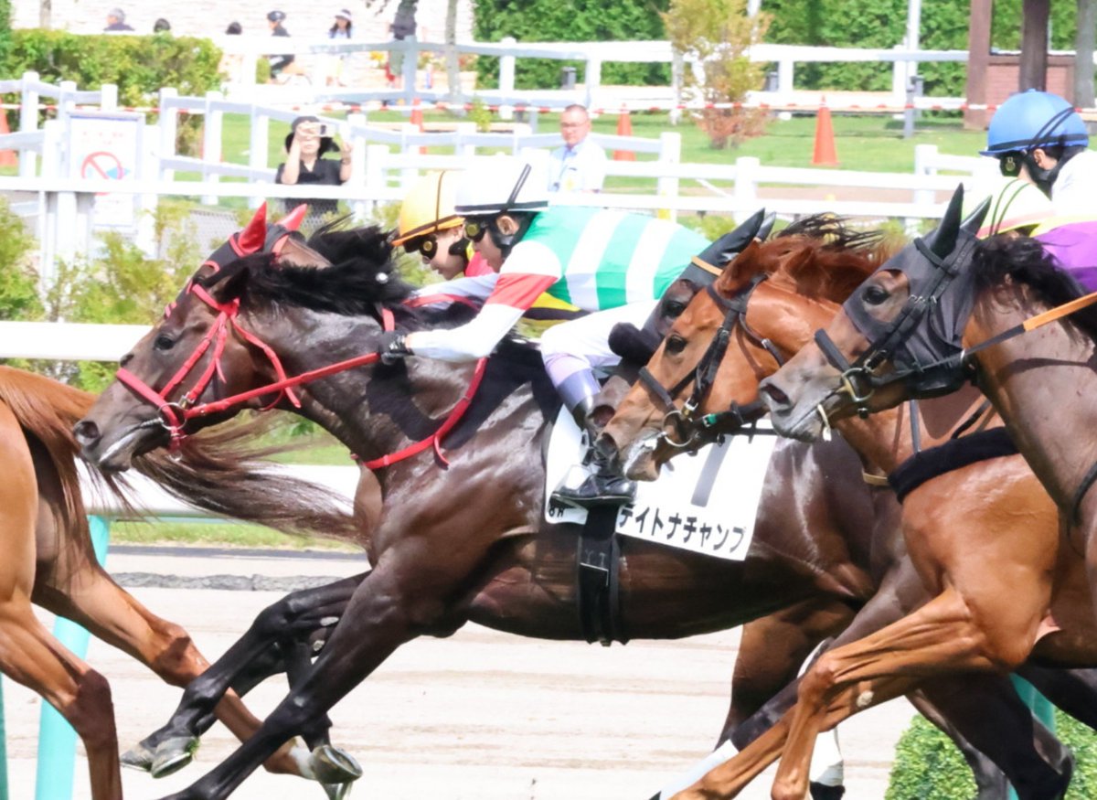 Eito_FGOMoomin's tweet photo. 競馬の夏　札幌の夏　ユタカの夏。
直線出てからスッと出てそのままゴールする武豊は春夏秋冬いつ見てもエエなぁ。
ｱﾀｸｼの現地勝利は宝塚記念のメイショウタバル以来でごさんすね。 https://t.co/IuDwCjPbcC