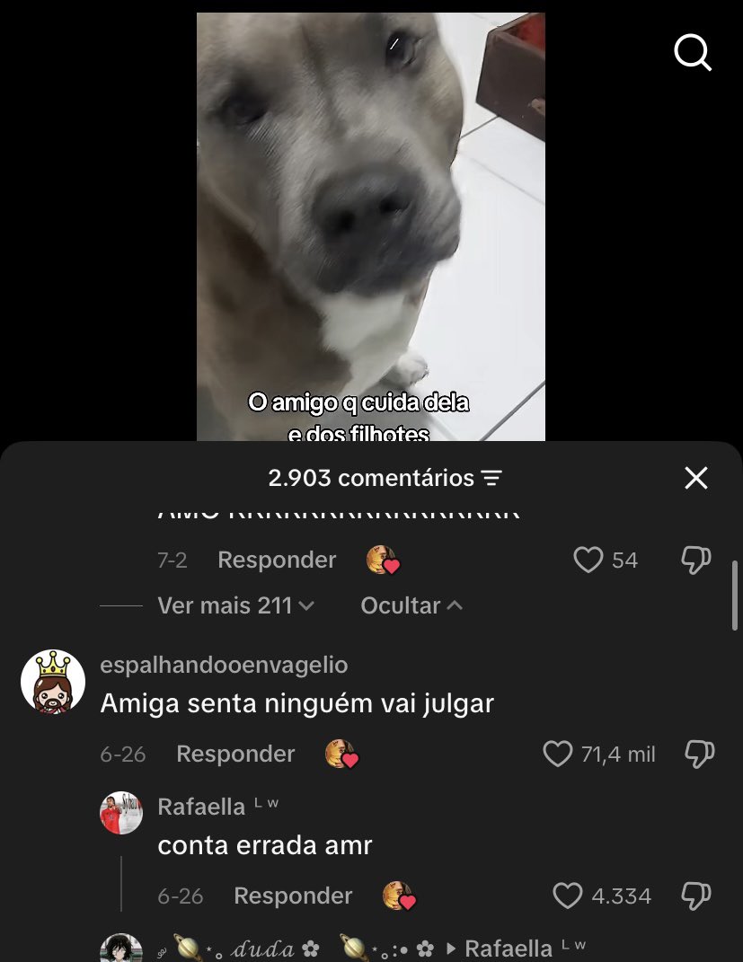 zzkyoshi's tweet photo. ai mas isso aq https://t.co/gBP8JAHKjt