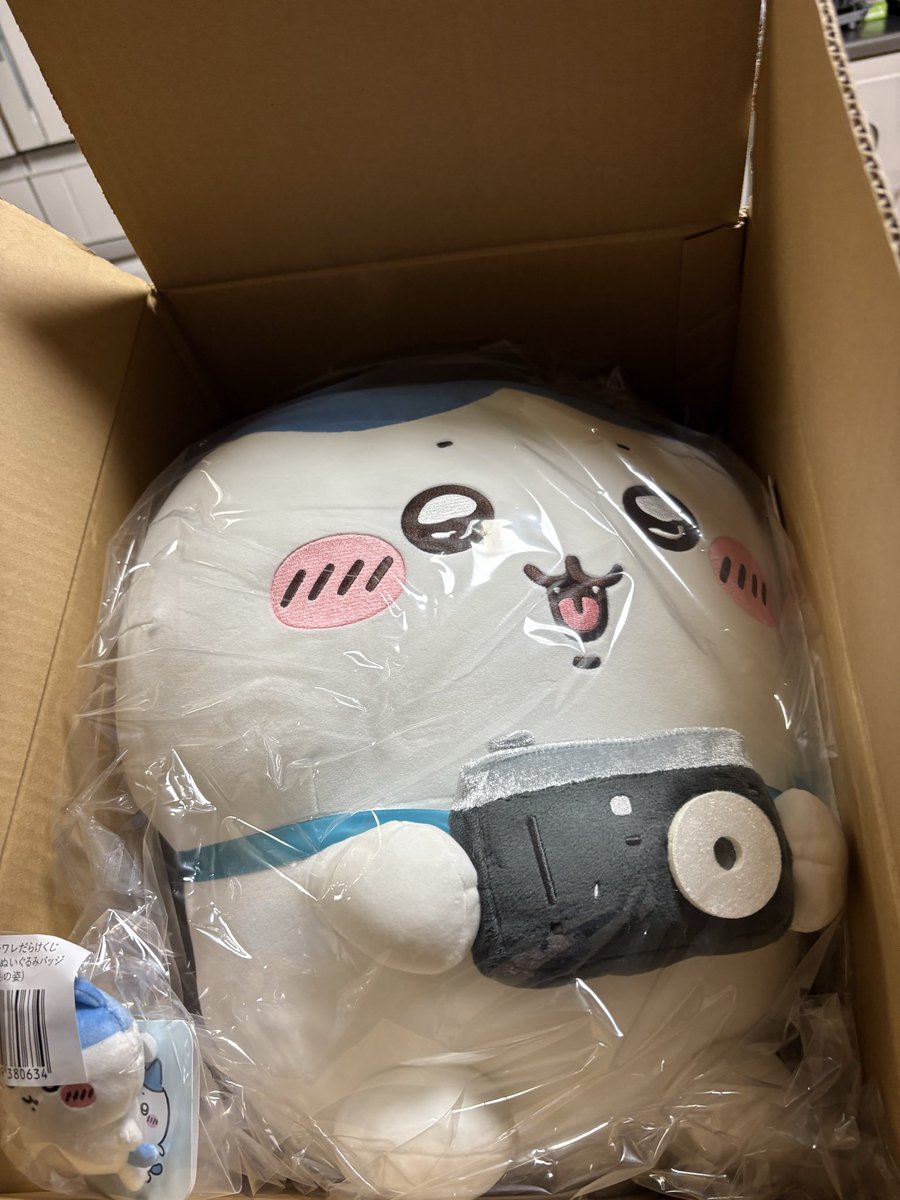 syui001213's tweet photo. 忘れた頃に届いた- ̗̀📦 ̖́-
ハチワレだらけくじA賞🏅
私はＥ賞2個だったけど息子が引きたいというので追加したら一発A賞‼️可愛いけど家が狭いので焦った(꒪ω꒪υ)
どこに置こうかしら…w
 #ちいかわ 
 #ハチワレだらけくじ https://t.co/GWp0QwyPcG