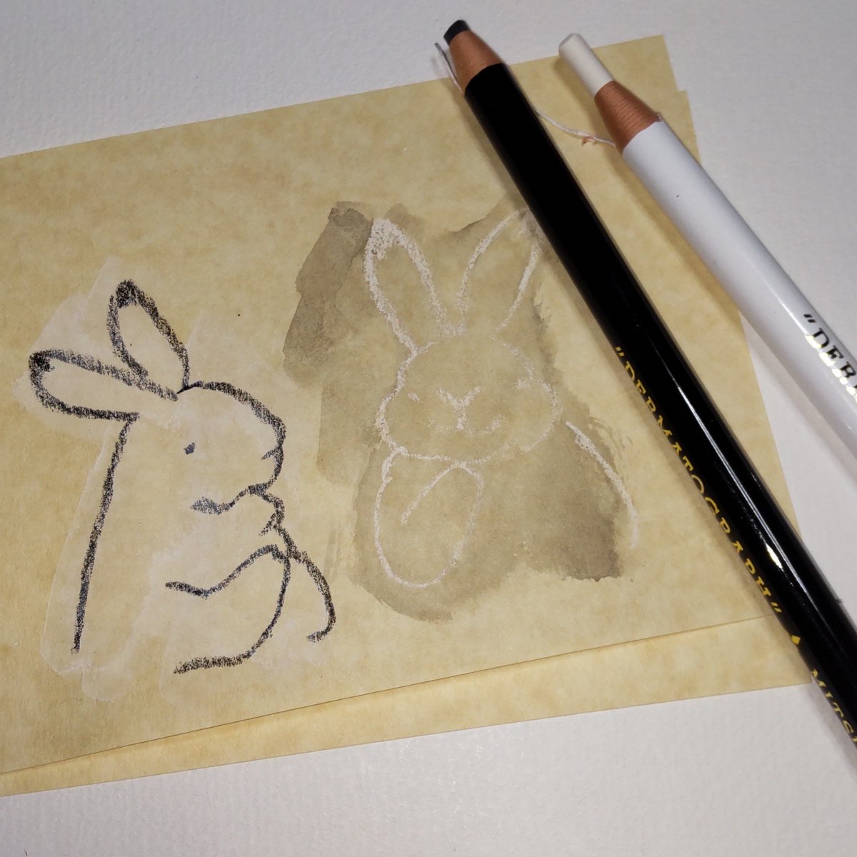GctnGf's tweet photo. 白い🐰と黒い🐰 https://t.co/bzDDrg3Eew