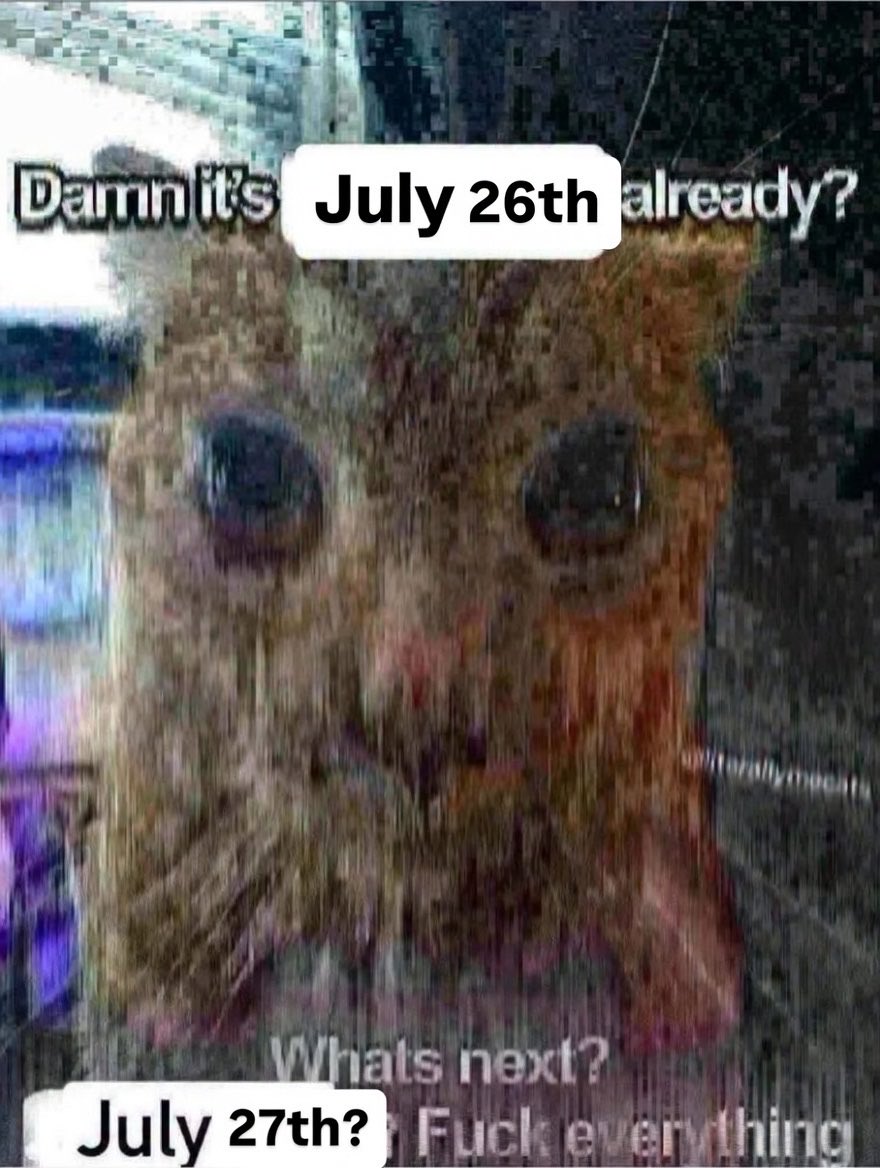 literallymecats's tweet photo. https://t.co/TJs6hFM2W0