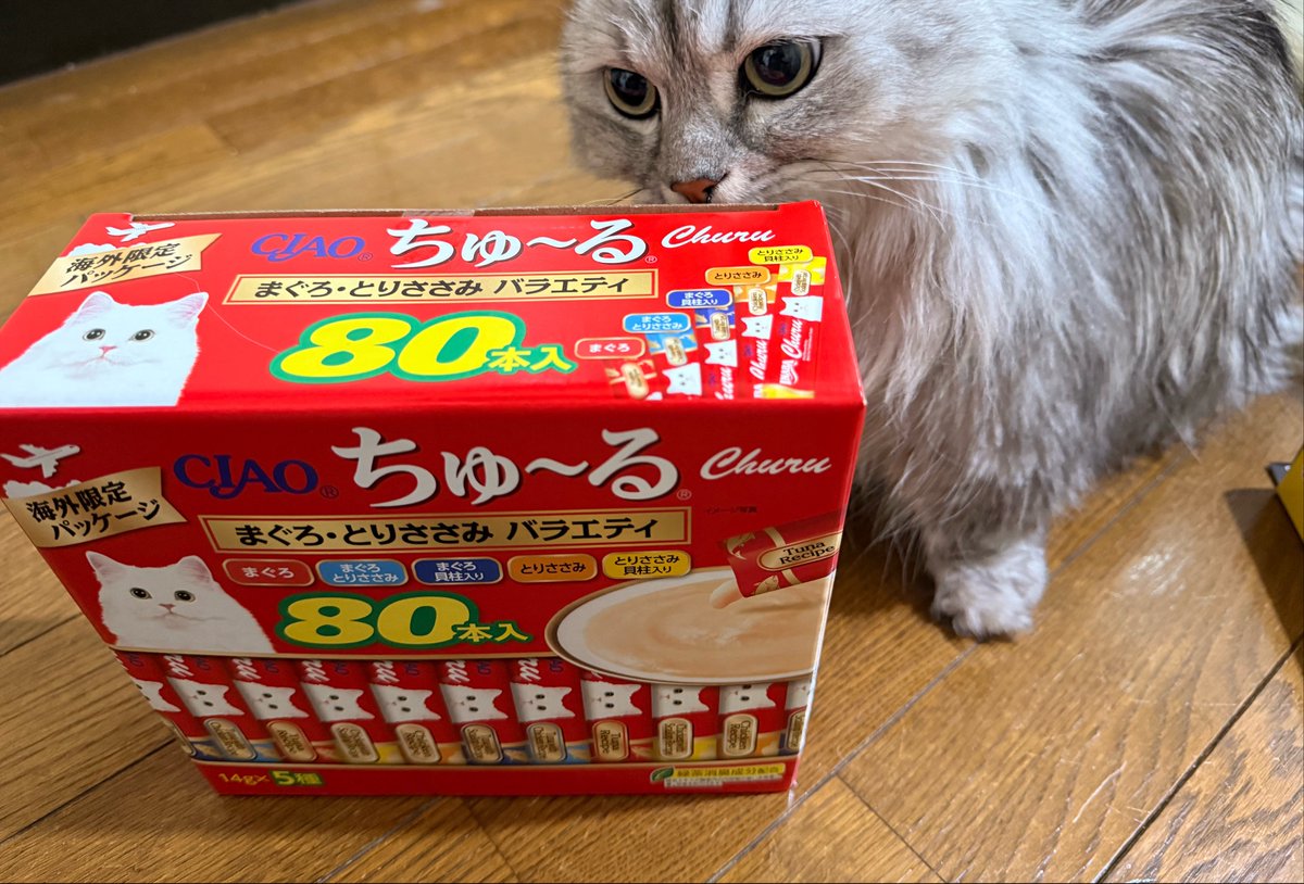 みーこ (@mikeeneko) / Posts / X