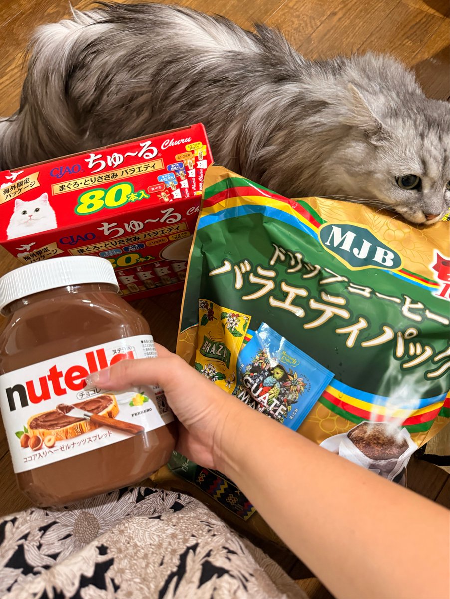 みーこ (@mikeeneko) / Posts / X