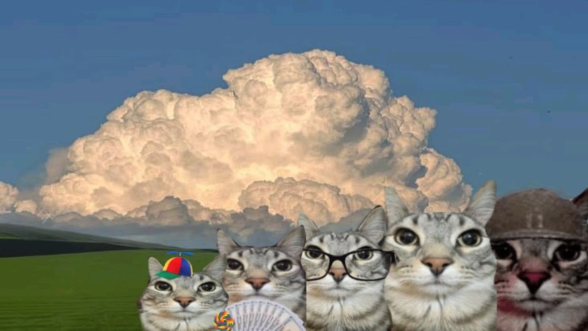 ZazuCTO tweet picture