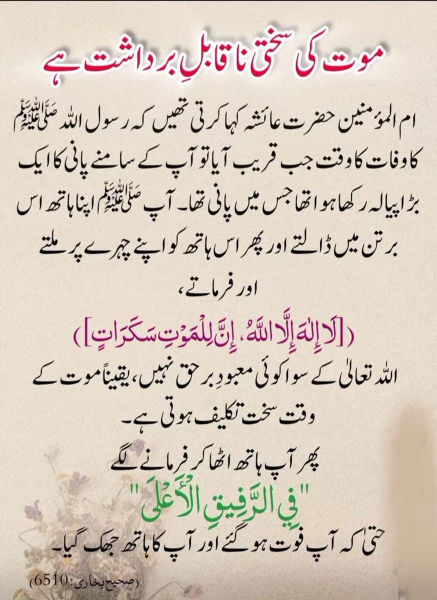MAKoraal1's tweet photo. https://t.co/fBmLgp6Arp