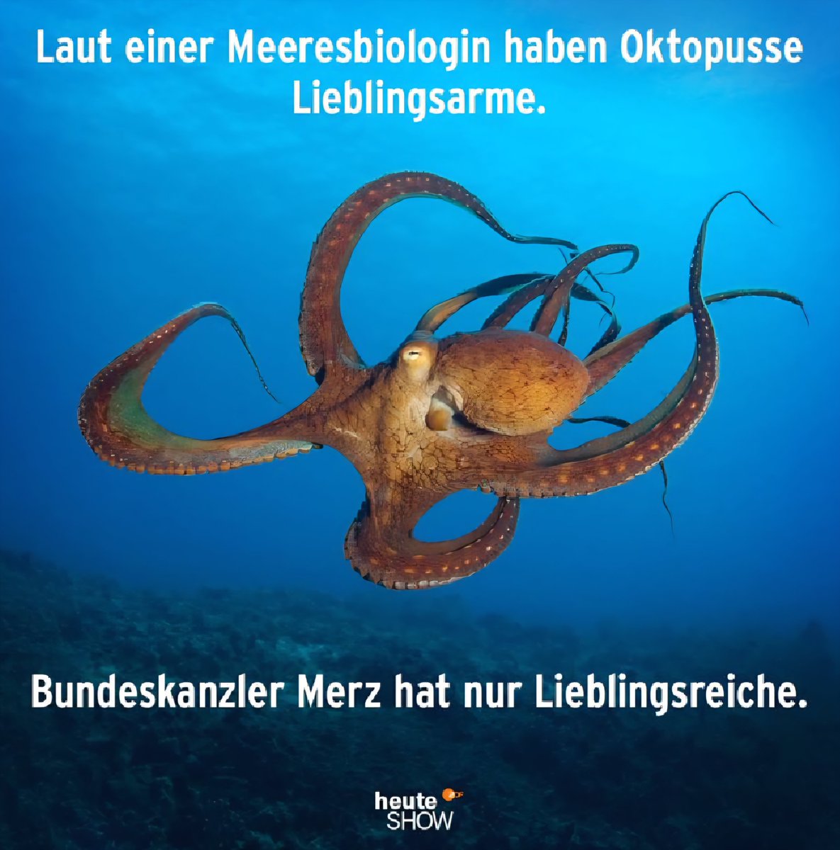 Bassplayer_916's tweet photo. @mel__aura #Merkelwusstewarum https://t.co/cd5MEkjxim