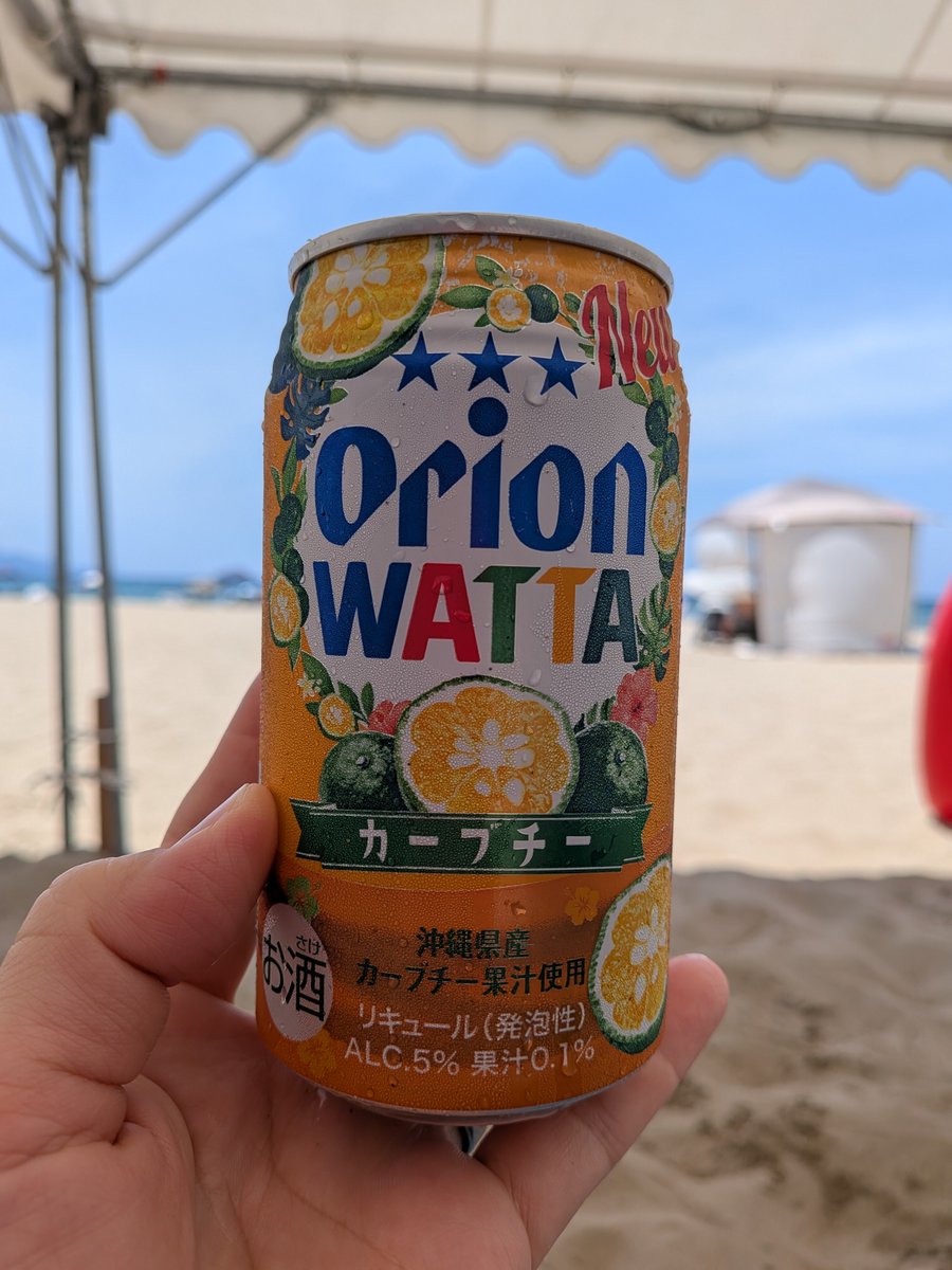saneyoshi21's tweet photo. 持ち株盛り上がらんし、クラリティどうなのか分からんから、とりあえず海水浴!

一回みんな紫外線に当たって、心地よいぐったり感味わったらええねん

はぁ〜ファミリービーチ最高! https://t.co/WCkuwsRh5w