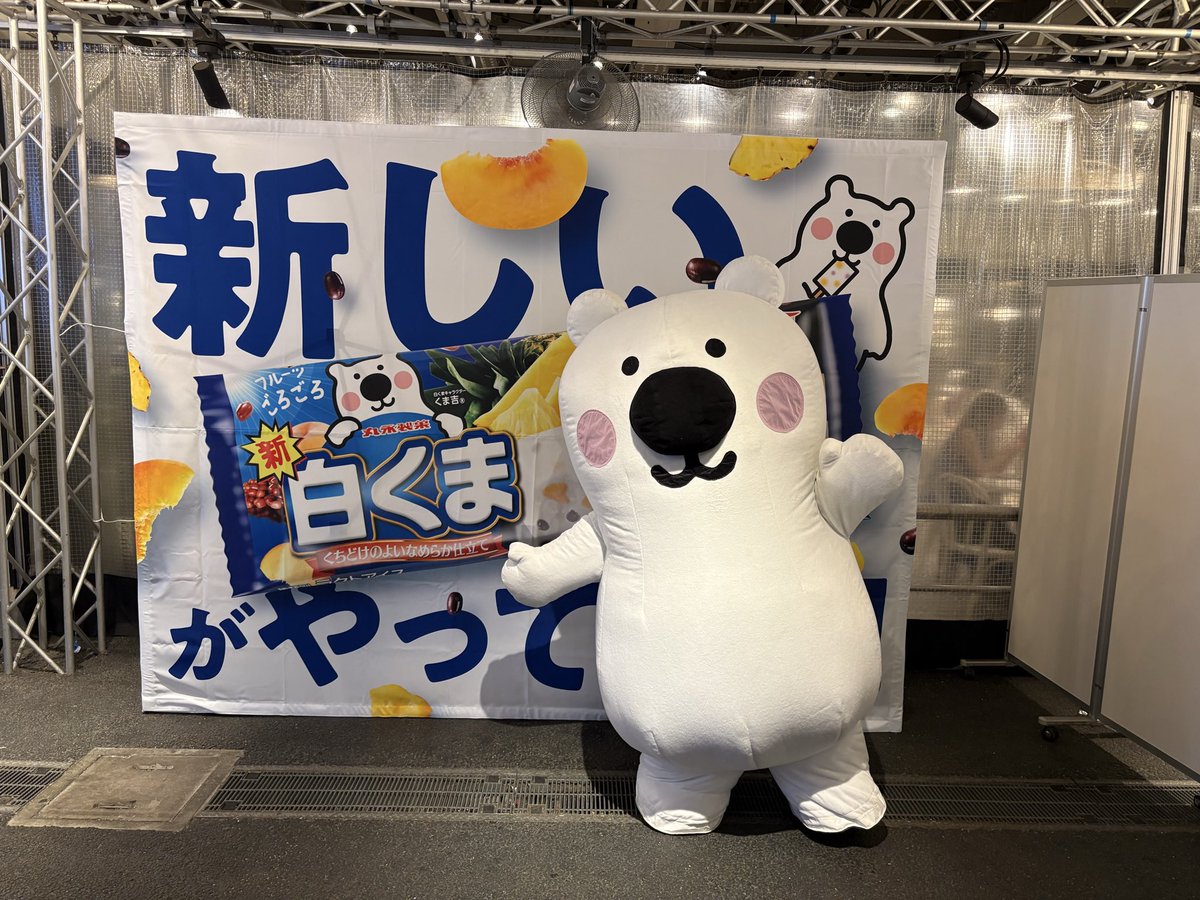 新しい白くまがやってきた タワレコにクロマニヨンズのJAMBO JAPAN