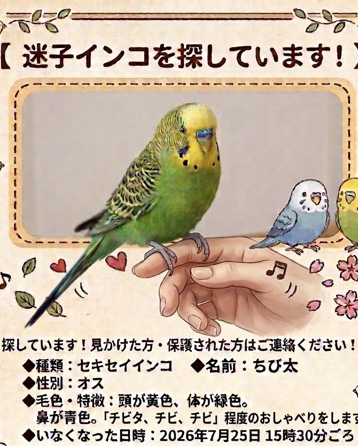 ywRk9y9P73bBTqA's tweet photo. 【拡散希望】
迷子セキセイインコを探しています

2026年7月25日15時30分頃いなくなりました。

高知県高知市春野町でセキセイインコが逃げてしまいました。

名前はちび太です。

頭が黄色、体が緑色、手乗りインコです。
鼻が青色。

#迷子インコ #インコ保護 #迷い鳥 #高知県 #高知市春野町 https://t.co/RiSPoeQSqw