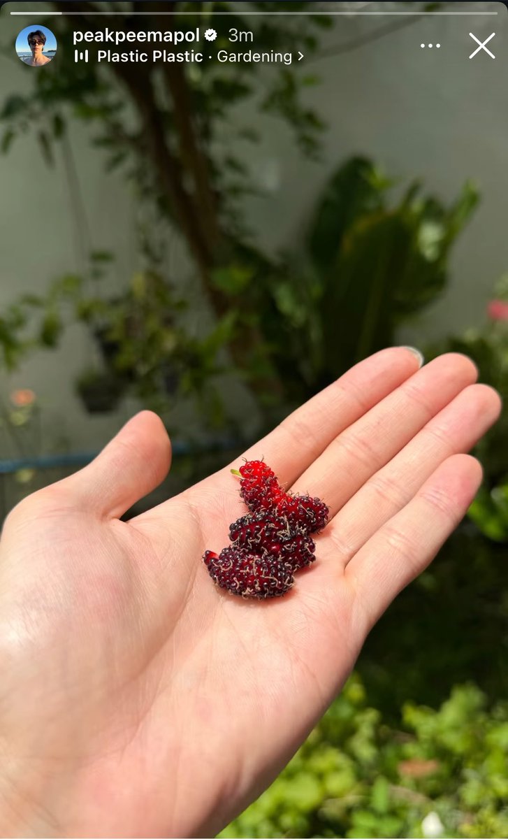 tempurasanx's tweet photo. เขินว่ะไม่รู้เขินไรแค่แขนกับมือเนี่ย🫪 https://t.co/uybOqLzoo7