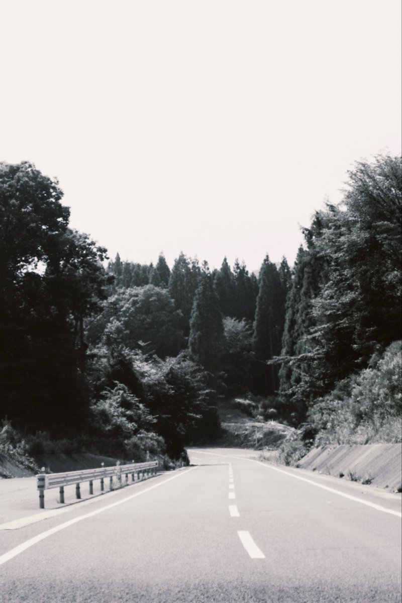 omy02ymo's tweet photo. 自然は美しい...🌲

#photo
#photographs 
#大分 https://t.co/INZkRwP4qa