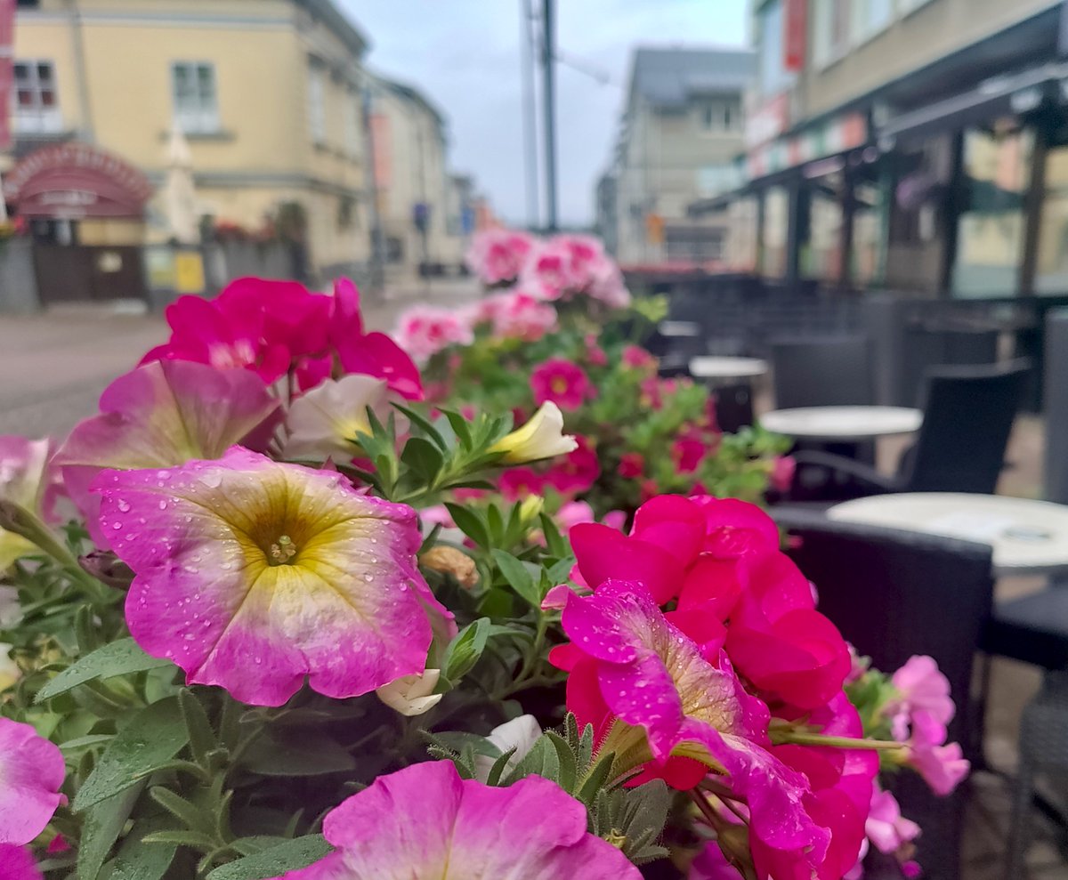 KauppiEsa's tweet photo. Vaan yössä kaupungin kulkevan
Näet taakkojen kantajan
Kuka on hän, sen kyllä tietää saat
Jos matkan kanssaan jaat @Oulu2026offici #QStock https://t.co/P6SkeX52Oo
