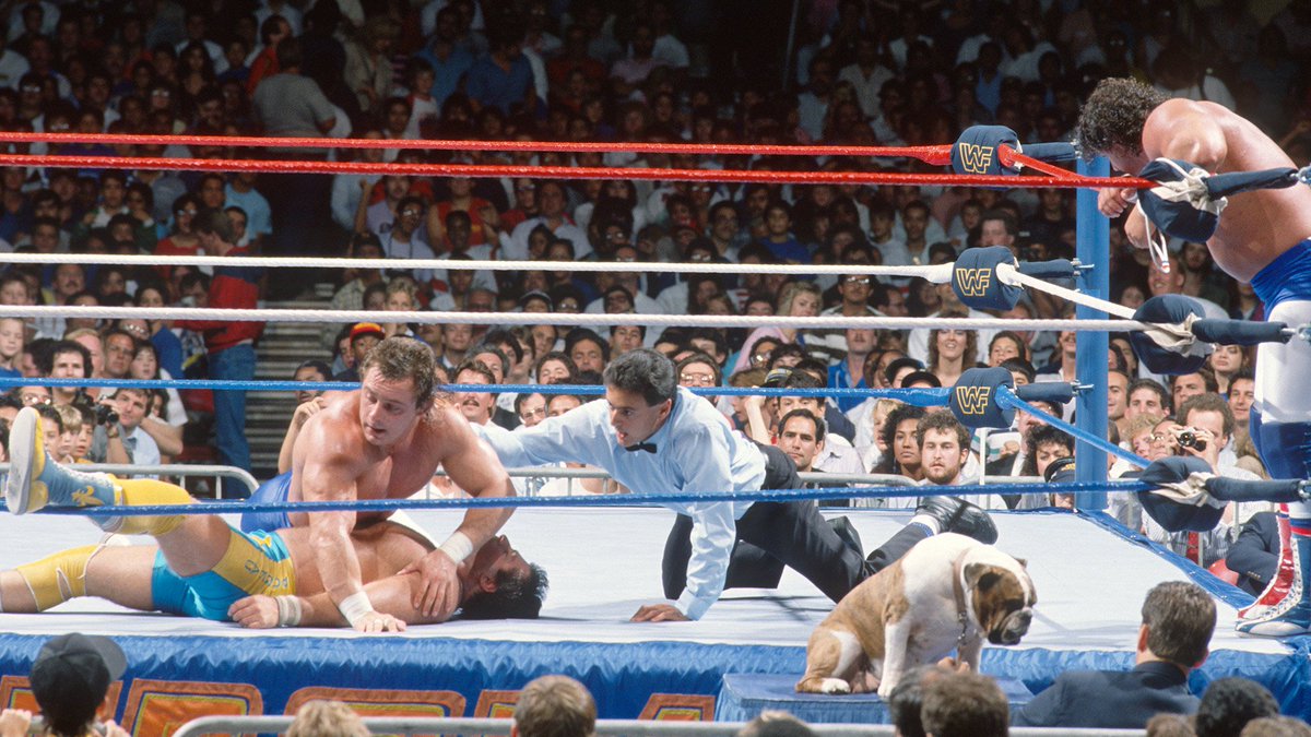 WWFWrestling1's tweet photo. SummerSlam Sunday! The British Bulldogs and The Fabulous Rougeaus kick things off at the 1988 PPV. ☀️ #WWF #WWE #SummerSlam #RougeauBrothers #BritishBulldogs https://t.co/hlDOJjhVAx