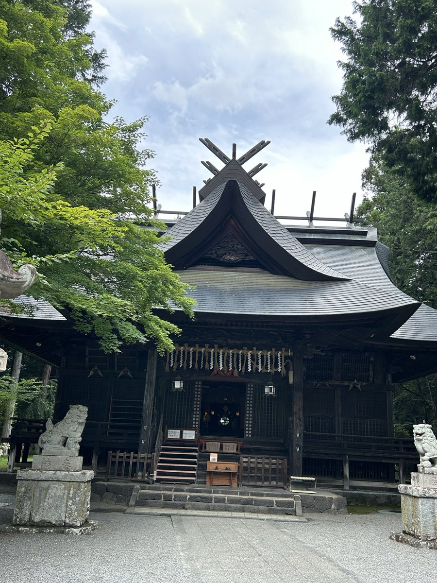 真紫瑠〜masiru〜 tweet media