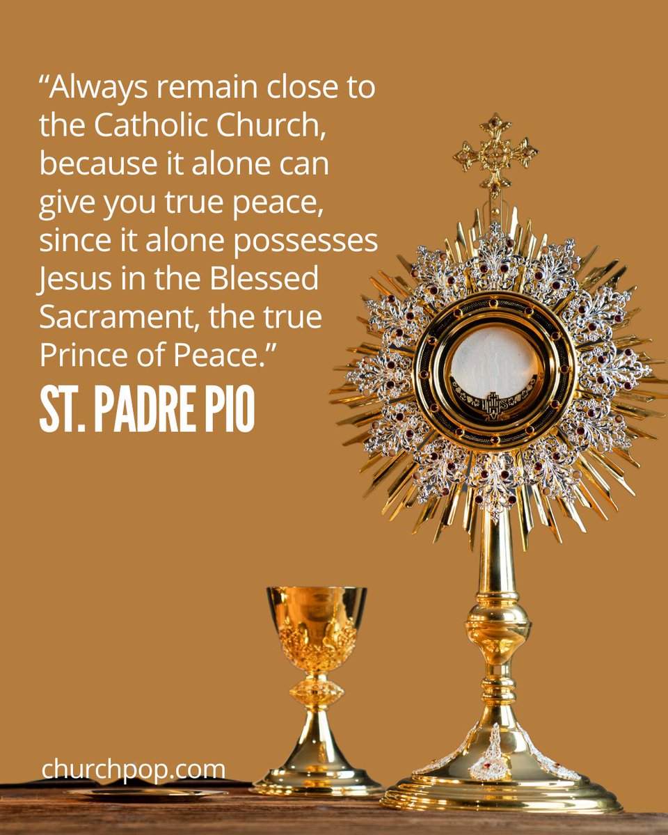 Catholic_bro's tweet photo. Go to Mass https://t.co/Z9EGnmfpr0