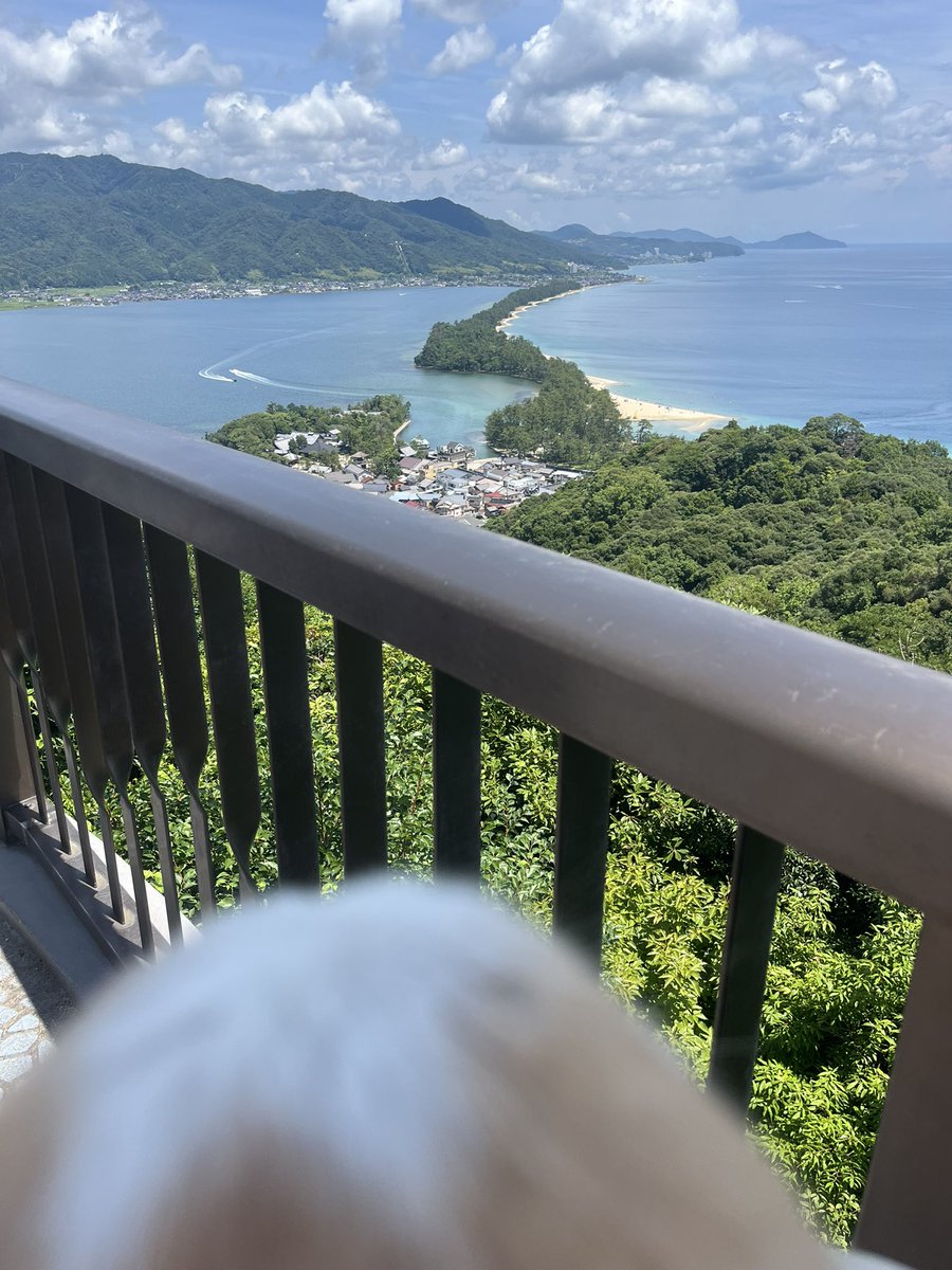donyoku_jp's tweet photo. https://t.co/C1g9hk6KbX