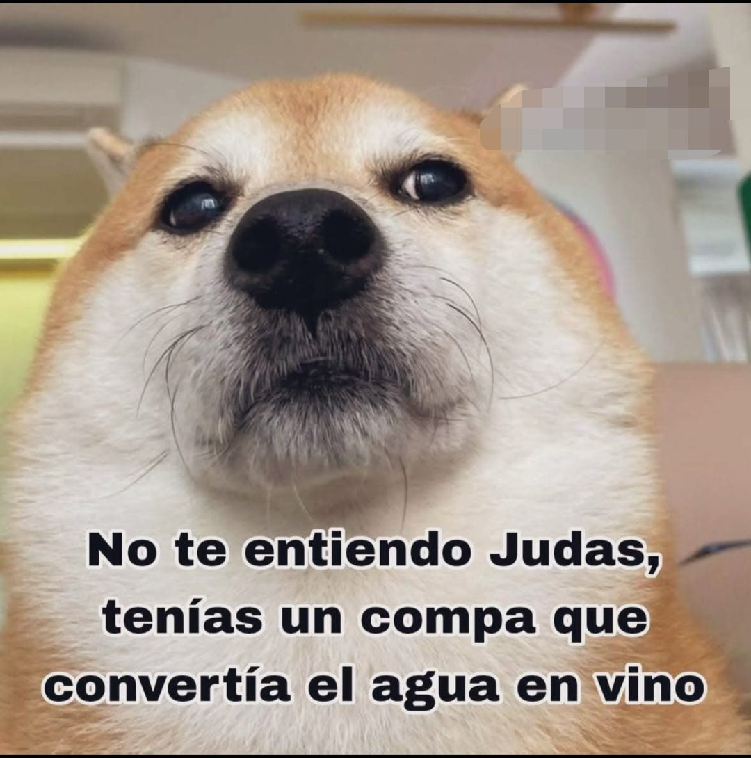 PateaKulos's tweet photo. La neta wey 🤔😒✊🏻 https://t.co/WybI9tmPkl