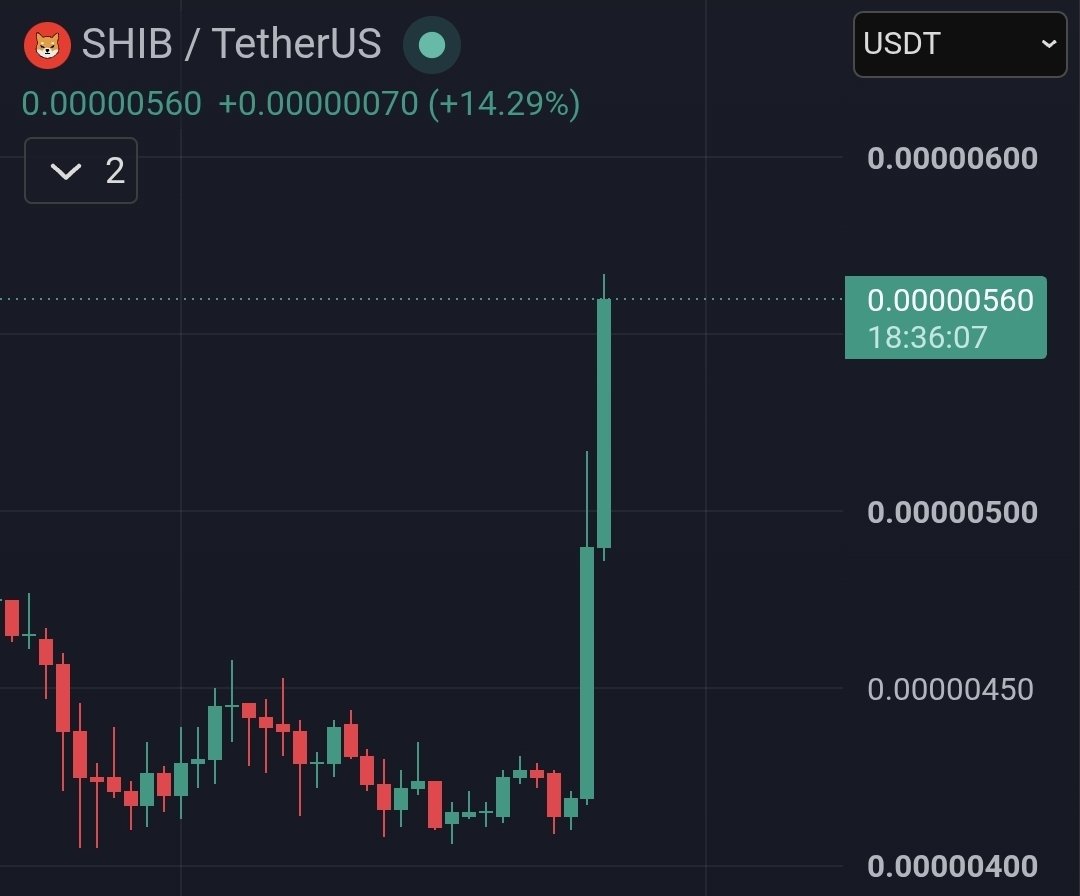 army_shiba's tweet photo. $SHIB literally says F*ck the Bears https://t.co/gDoSDBJKfu