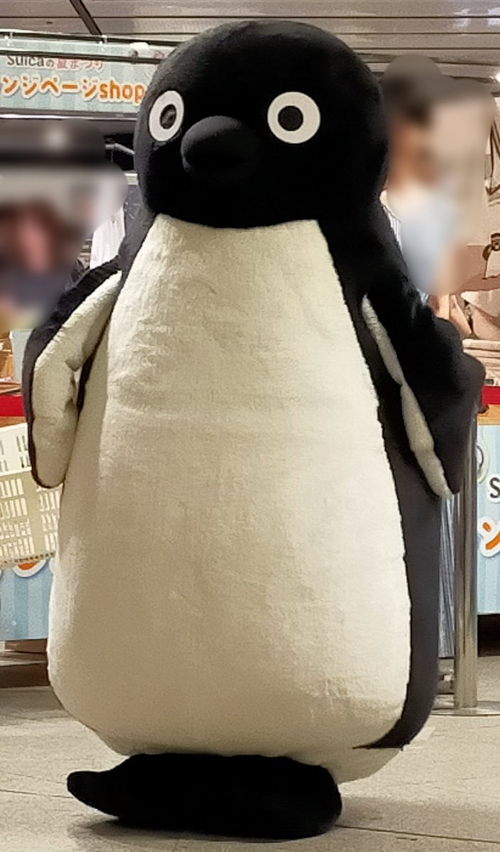 ahirudonaludo's tweet photo. 今日はなんか浮かれすぎたのか、🐧さんソロショットをうっかりにも忘れてしまった…。バッグ持ってもらって、Lさんも抱っこしてもらったのに…。
#Suicaのペンギン https://t.co/QfVWjGmKBT