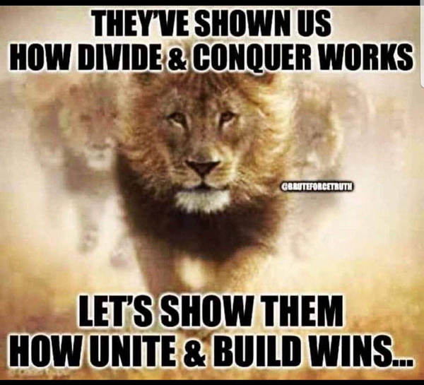 TurboKitty's tweet photo. https://t.co/59gnu2XFA2
